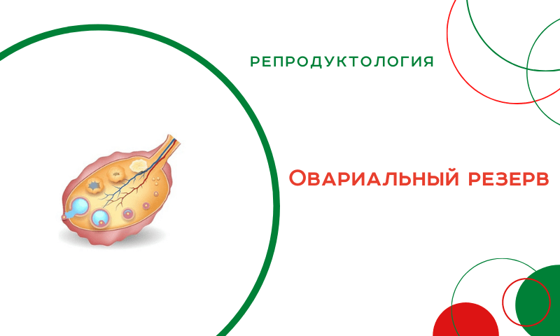 Овариальный резерв